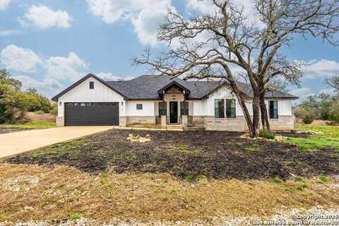 221 George Dolson, Blanco, TX 78606