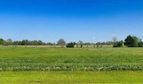 9942 Panther Creek Drive, Iola, TX 77861
