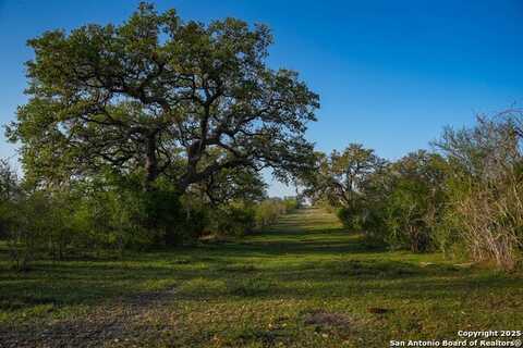 8440 State Highway 239 W, Goliad, TX 77963