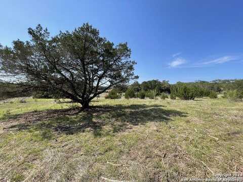 620 Rosemary Ridge Dr, Bulverde, TX 78163