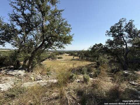 420 Coneflower Drive, Spring Branch, TX 78070