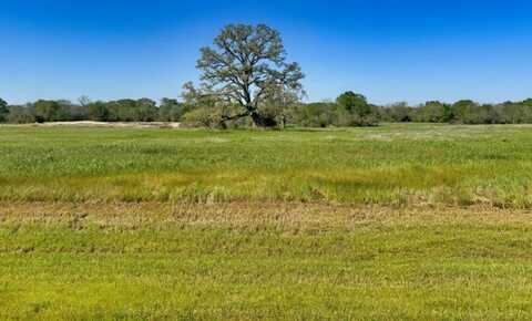 10022 Hidden Pond Drive, Iola, TX 77861