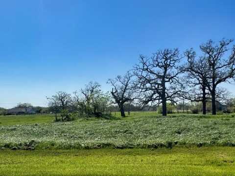 9993 Panther Creek Drive, Iola, TX 77861