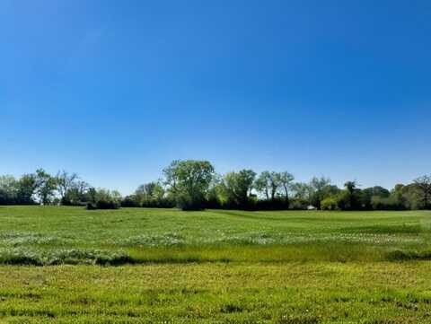 Lot 37 Panther Ridge Drive, Iola, TX 77861