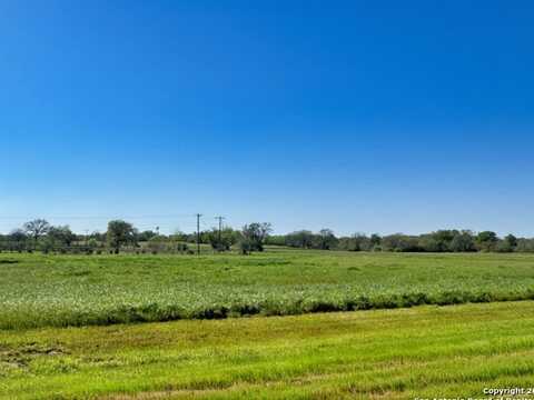 10045 Panther Creek Drive, Iola, TX 77861