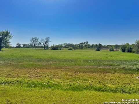 10237 Panther Creek Drive, Iola, TX 77861