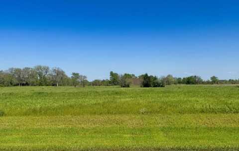 10042 Panther Creek Drive, Iola, TX 77861