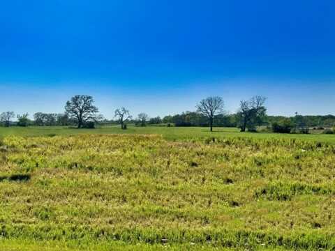 10199 Panther Creek Drive, Iola, TX 77861