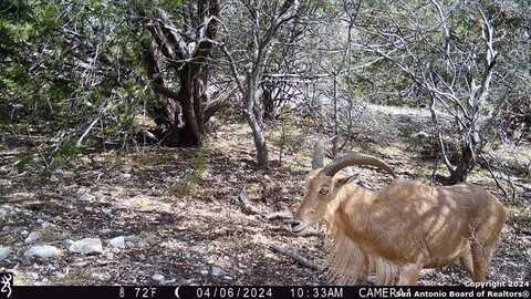 Tbd Red Bluff Creek, Rocksprings, TX 78880