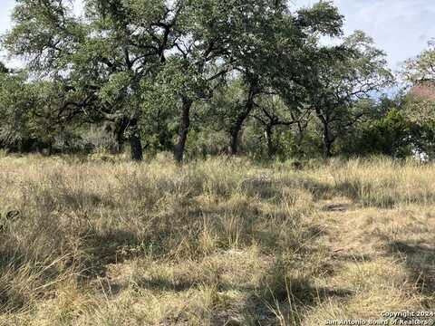 6380 SPRING BRANCH RD, Spring Branch, TX 78070