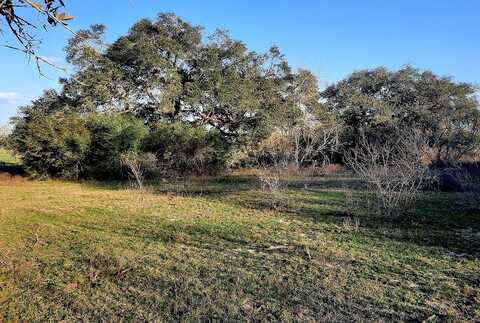 000 County Road 173, Hallettsville, TX 77964