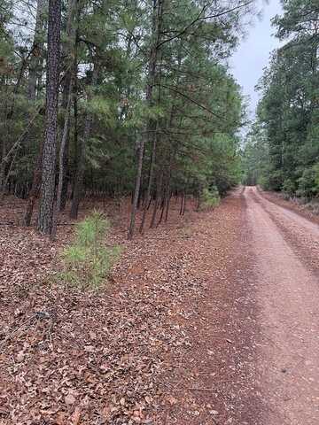 000 Red Fox Road, La Grange, TX 78945
