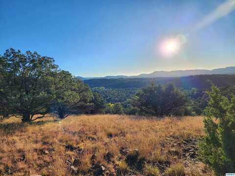 Crown T Ranch Road, Silver City, NM 88061