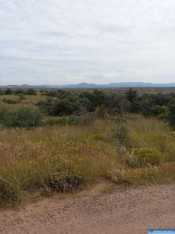xx 01 running iron, Silver City, NM 88062