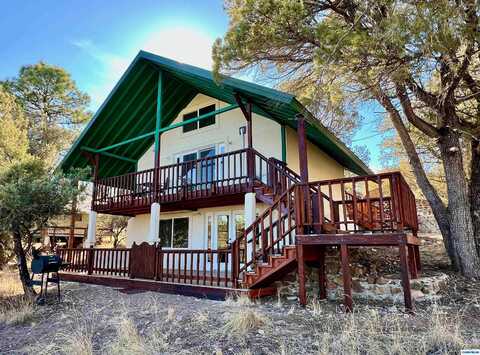 45 Mulberry Drive, Lake Roberts, NM 88049