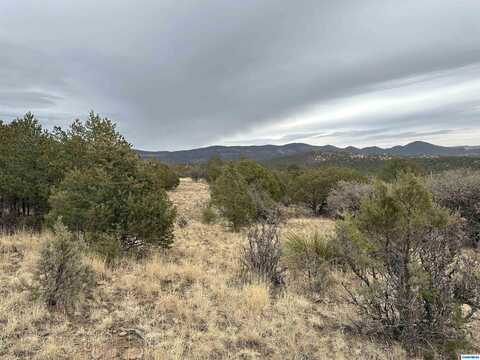 XYZ Ranch Road, Silver City, NM 88061