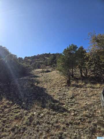 Black Dog Road, Silver City, NM 88061