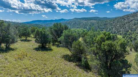 Highway 15 & 35 lot: 4 A, Lake Roberts, NM 88041
