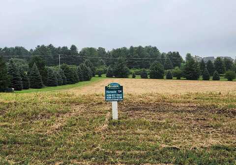 L124 Blue Victoria Drive, Sun Prairie, WI 53590