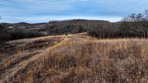 165+/- Acres Miess Road, Dodgeville, WI 53533