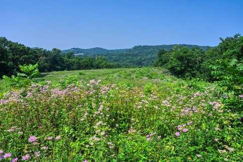 165+/- Acres Miess Road, Dodgeville, WI 53533