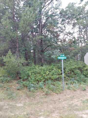 Lot 21 N Duck Creek Court, Adams, WI 53910