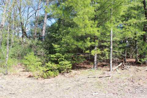 Lots 20-21 Leona Street, Friendship, WI 53934