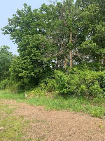 1.14 Ac Flowage Road, Spring Green, WI 53588