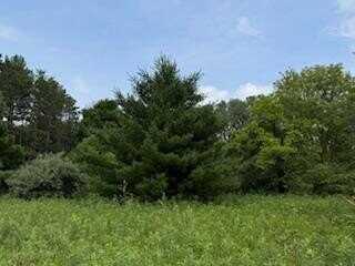 Lot 4 Church Street, Merrimac, WI 53561