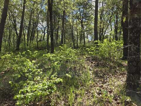 1163 Brown Bear Trail, Nekoosa, WI 54457
