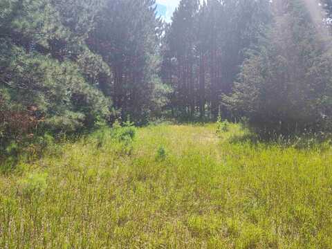 Lot 114 County Road Z, Arkdale, WI 54613