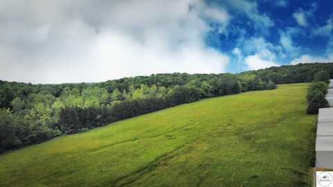Shawnee Bend, Warsaw, MO 65355