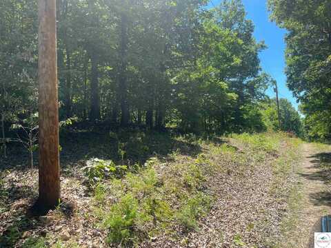 Tbd Wapiti, Edwards, MO 65326