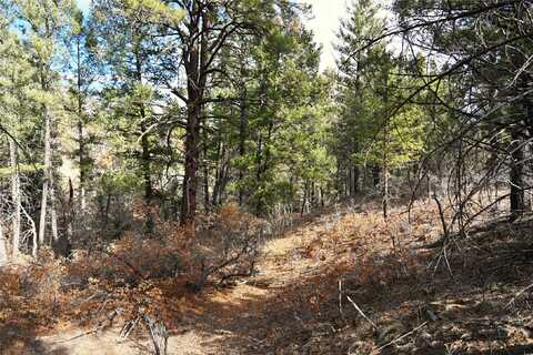 Bear Rd CR 322 unit: D-1 Lot 11, Tierra Amarilla, NM 87575