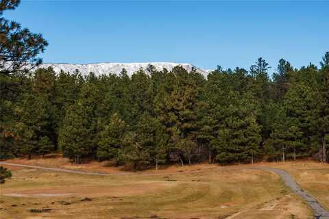 Camino Facil lot: 45, Rociada, NM 87742