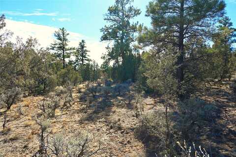 Venado Dr Cr 322 unit: D-1 Lot 79, Tierra Amarilla, NM 87575