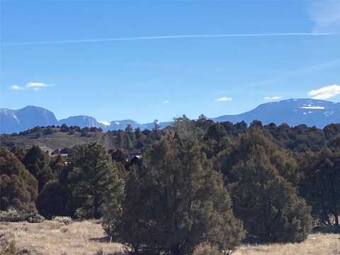 Shroyer, Rutheron, NM 87551