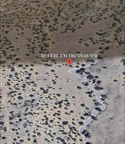 Wild Onion Rd, Medanales, NM 87548