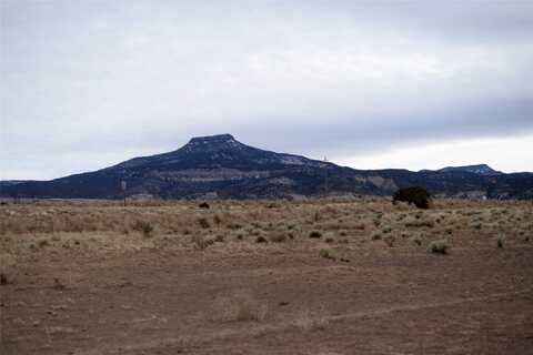Private Drive 1725 lot: 21, Abiquiu, NM 87064