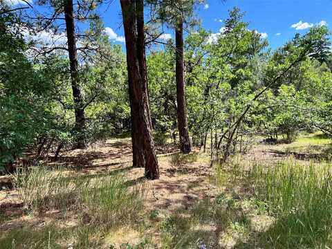0 Blk 2, Lot 14, Brazos Estate, Chama, NM 87520