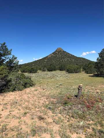 Mujeres Circle lot: 56 & 57, Quemado, NM 87315