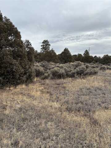 Parkview Hills lot: 2 & 3, Los Ojos, NM 87551