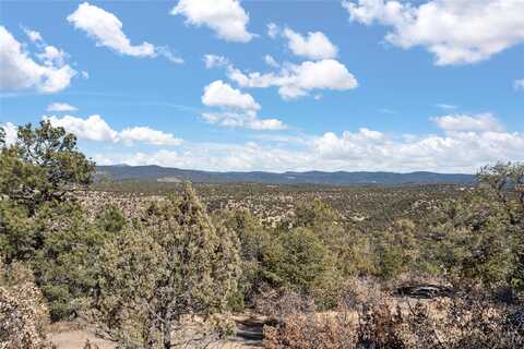 River Road, 10 Acres, Rowe, NM 87562