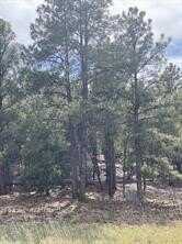 45 Silver Feather Trail, Pecos, NM 87552