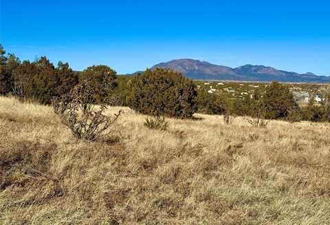 16 Wildwood Way, Edgewood, NM 97015