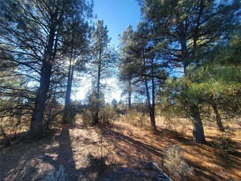 Hwy 64, Tierra Amarilla, NM 87575