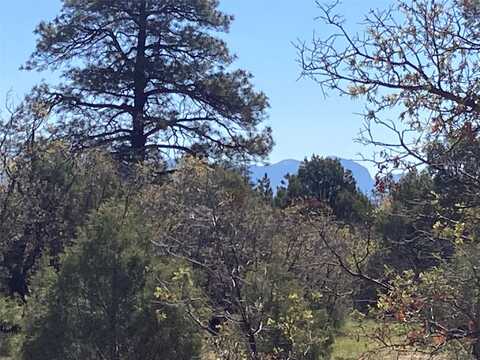 Rim Dr. Lots 68 & 69, Rutheron, NM 87551