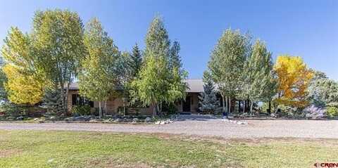 East Meadow #2 County Road 342, Chama, NM 87520