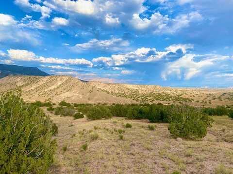 County Rd 156 lot: 79, Abiquiu, NM 87510