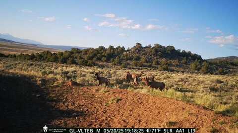 73 Arellano, Other, NM 87512